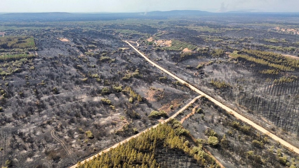 CUATRO PUNTOS DE VISTA CONTRA EL FUEGO – UN VECINO VOLUNTARIO, UN BOMBERO FORESTAL, UN BRIGADA DE LA UME Y UN PILOTO DE&nbsp;AVIONETA*