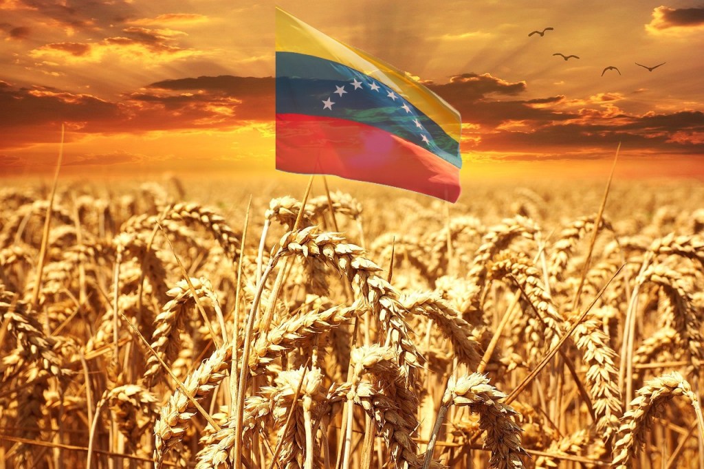 «QUEREMOS UN GOBERNANTE QUE SE PONGA EN EL ZAPATO DE TODOS LOS VENEZOLANOS» – VENEZOLANOS EN TIERRA DE CAMPOS